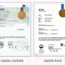 염색팡팡 이미지