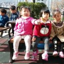 매화숲유치원 Daum카페