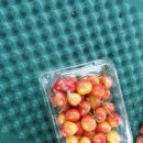 전정금농장 이미지