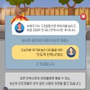 꿈꾸는 동물병원 이미지