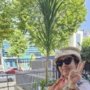 삼성낙지칼국수 이미지