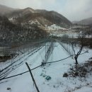 일출농장 이미지