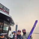 양군 컴퍼니