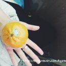 일일일잔 이미지