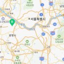 스타일독앤캣 강아지고양이 부천본점 이미지