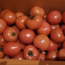 복남농장 이미지