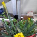 세진모터스 이미지