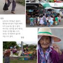 세화장 이미지