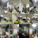 첨단월계 이미지