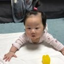 경민동물병원 네이버블로그