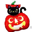 파티앤 캣 이미지