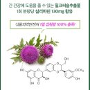 이지디엑스로 요요삭제! 건강한 도시락의 혁명!