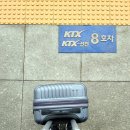 새빛로5 이미지