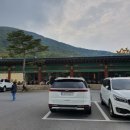 블랙스톤벨포레 루지 딜라이트 이미지