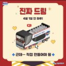 시티투어 이미지