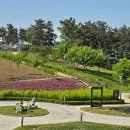 금마관광지 이미지