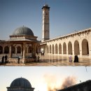 K&M DYNASTY 이미지