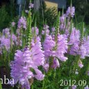 반용농장 이미지