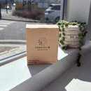 참약사든든약국 | 콜린 미오이노시톨 불규칙한 주기 고민 끝! 약사가 설계한 프리솔라 이노시톨 후기