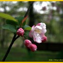 안방마님 이미지