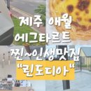 린도디아 이미지