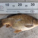 성화낚시터 이미지