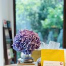 고유의뜰 이미지