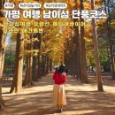 남이섬 남원존 조성 | 남이섬 여행 유람선, 메타세쿼이아 길, 짚라인, 애견 동반