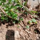 해뜬농장 이미지