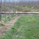 박종호 농장 이미지