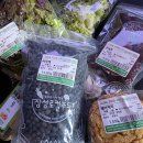 옐로우시티장성로컬푸드직매장 | 장성에서 생산된 싱싱한 식재료 가득한 남면 농협로컬푸드직매장