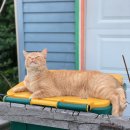 pictures of my fat cat on a recycling bin 이미지