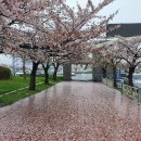 종합경기장 이미지