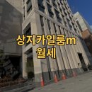 카일룸파트너스