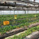 퍼니락노래연습장 이미지