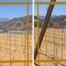 명성농장 이미지