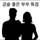 금슬 좋은 부부 특징 이미지
