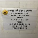 국시림 (포항물회) 이미지