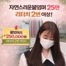 자연머리 | 강북 자연스러운붙임머리 리터치 후기