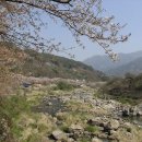 보련농장 이미지