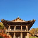 가나다악기