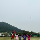 해피쿼카 네이버블로그