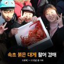 속초 붉은 대게 이미지