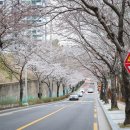 영도제일중학교 이미지