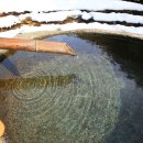 서일농장 이미지