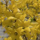 장곡동제2주차장 | 김포공항제2주차장 할인 주차대행 예약 후기