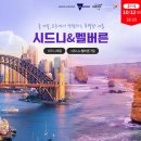 호시여행사