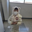 글로벌365mc병원 | 인천글로벌365mc병원 복부 무한람스 2주차 후기