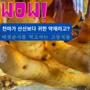 천마영농조합법인 | [무주약초영농조합법인]무주천마와 ‘천마사향’ 무엇이든 물어보세요?
