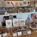 화랑유원지 옆 이미지